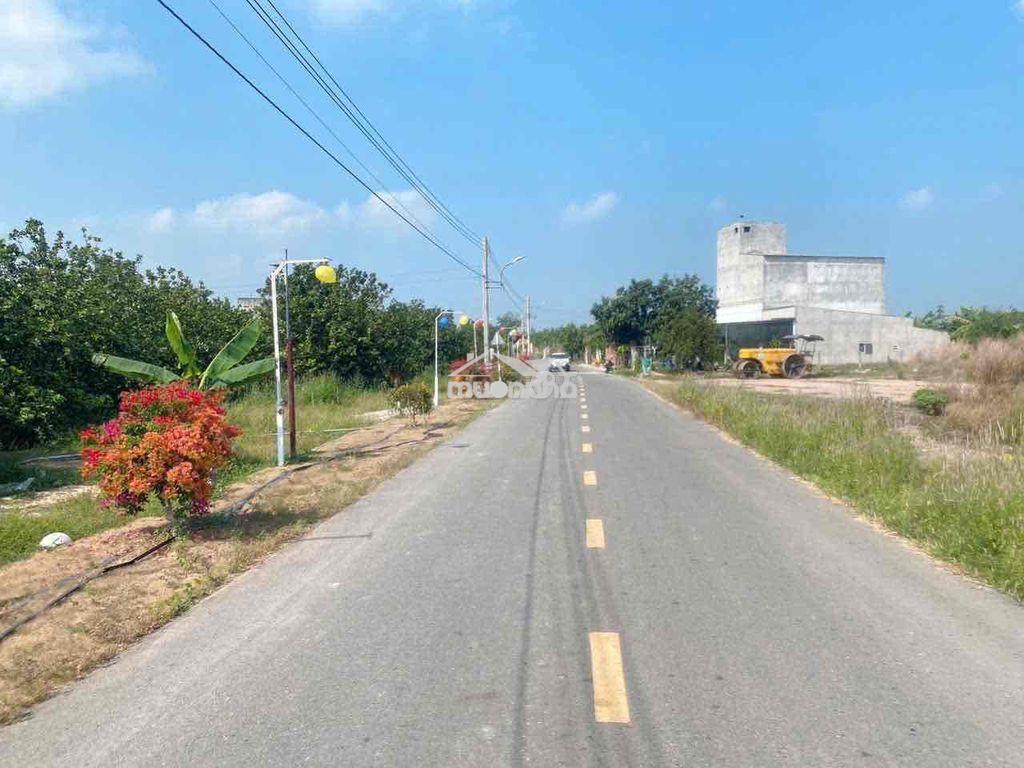 Đất vườn cây trái đang tốt bán nhanh - 4