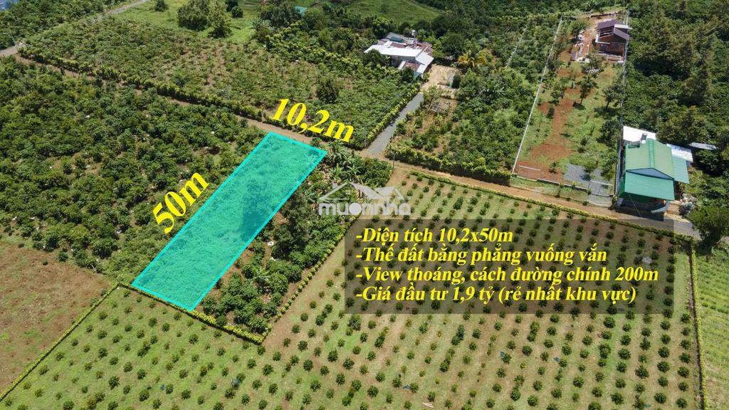 500m2 đất đẹp cần bán cho nhà đầu tư - Ảnh 4