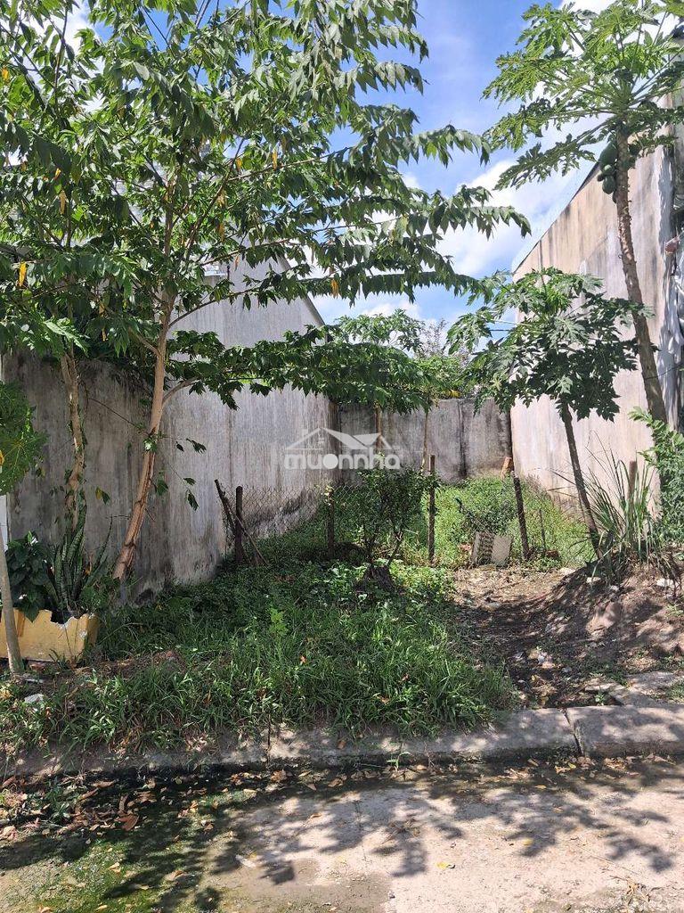 Bán đất giáp kcn tân đức - Ảnh 4