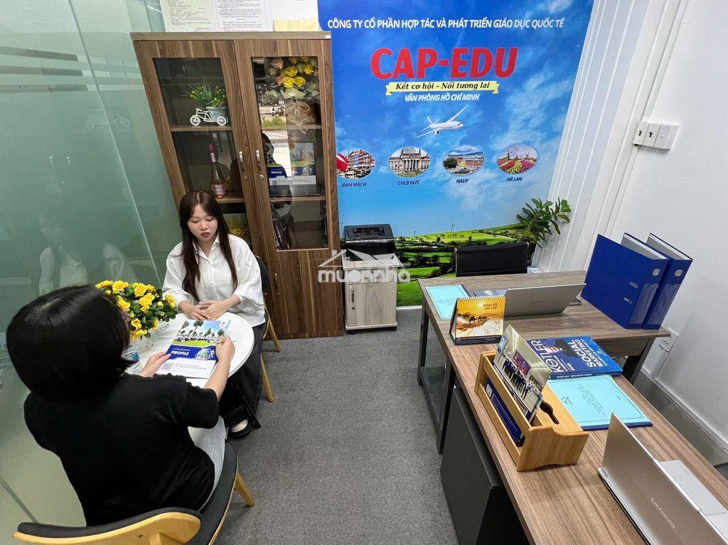 Văn phòng riêng trọn gói 2 triệu cho giám đốc - Ảnh 2