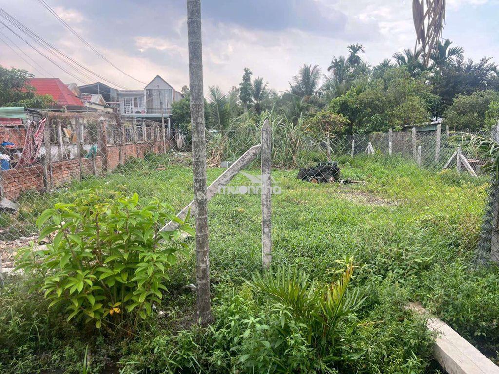 Bán đất nhị bình hóc môn - Ảnh 3