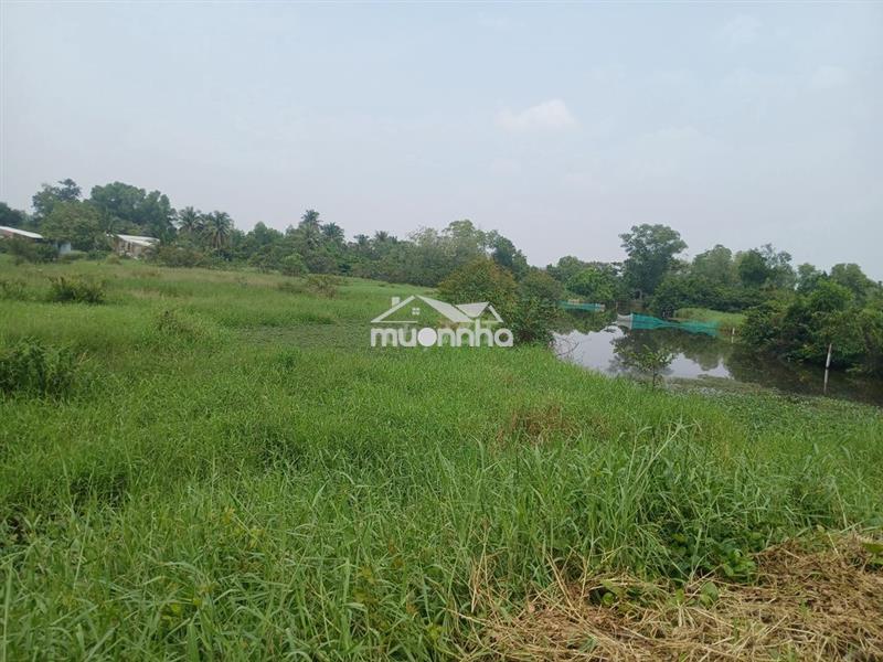 Bán 5000m2 đất nông nghiệp xã hưng long (đa phước)