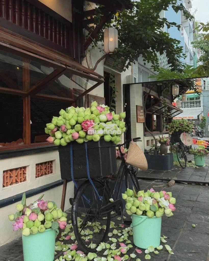 Cho thuê 2 mặt tiền hoa lan phú nhuận,trệt lầu sân thượng,dtsd 400m2 - 3