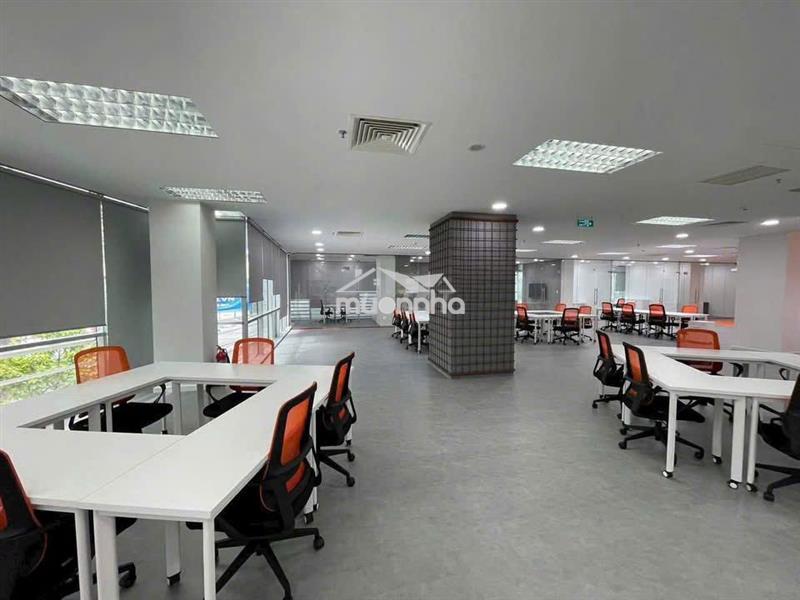 Cho thuê tòa nhà lớn mặt tiền đường hòa bình ,q. tân phú