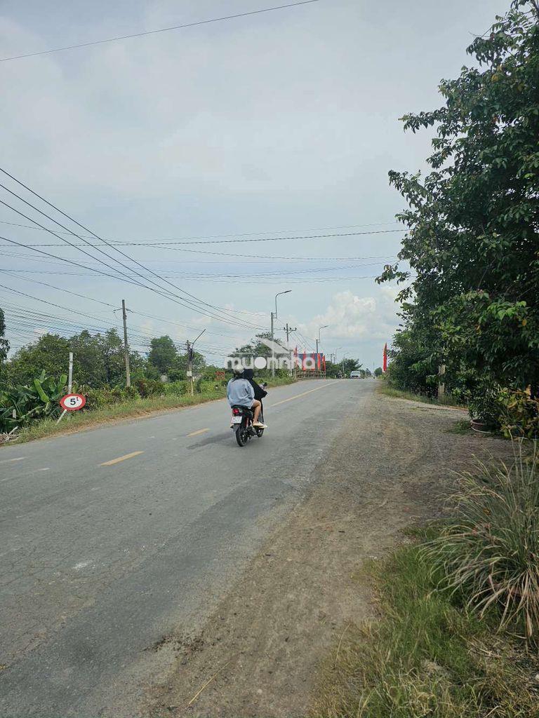 Cần bán đất thổ cư mt 838 đức huệ long an - Ảnh 4
