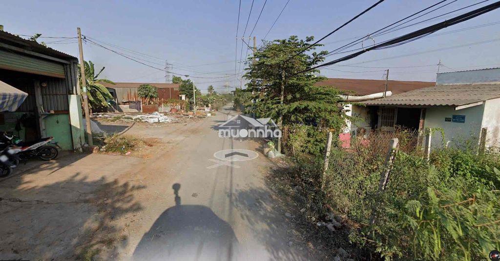 Đất cln 1000m2 - Ảnh 4