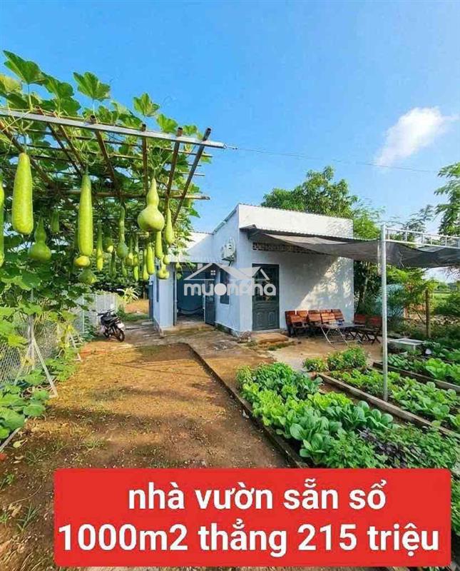 Mảnh vườn tâm huyêt 1000m1