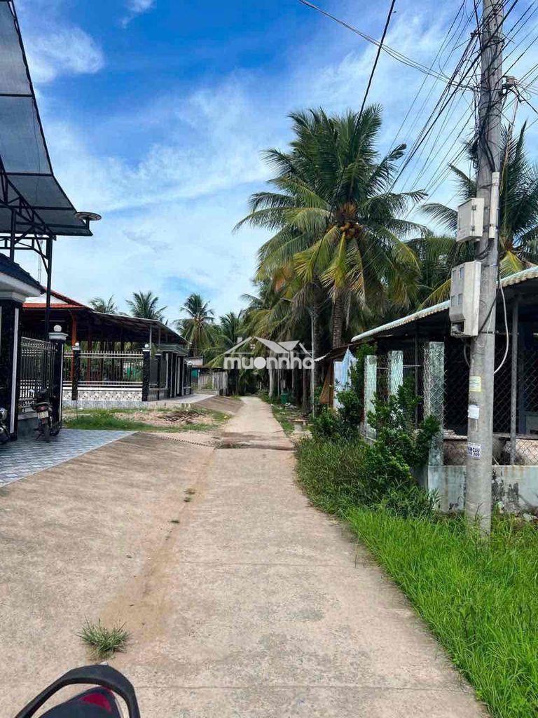 Bán nhà cấp 4 500 triệu 100 thổ cư  tân phú đông tiền giang - 2