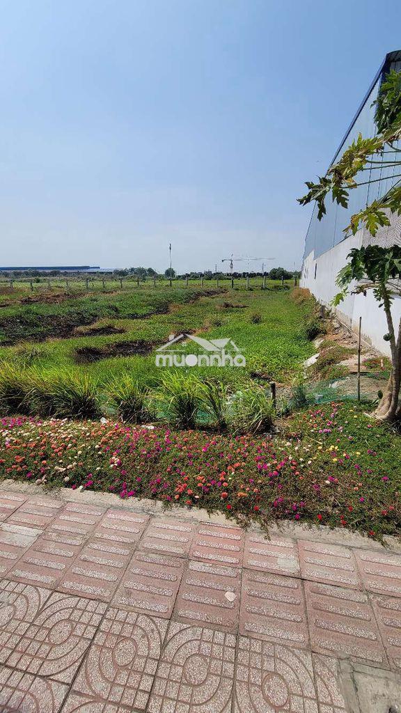 Đất mặt tiền dt818 tuyến chánh từ ql1a và tt thủ thừ