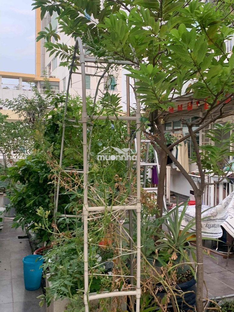 C.ho s.vườn 124+150m2 -3pn2wc belleza q7 - Ảnh 4