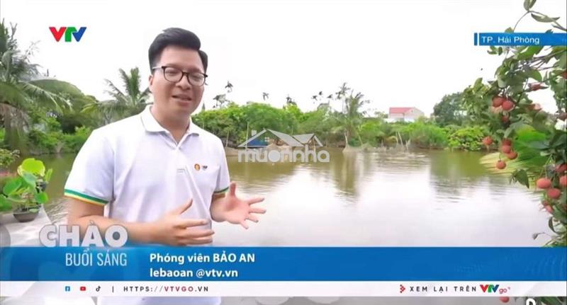 Bán đất thanh hà 3600m2