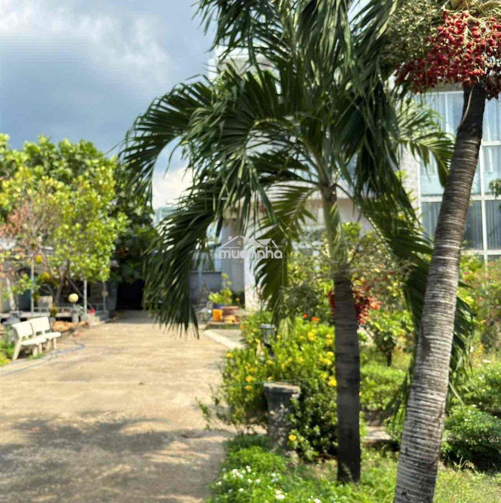 Bán nhà vườn 1000m2 view sông biên hoà tp đồng nai - 4