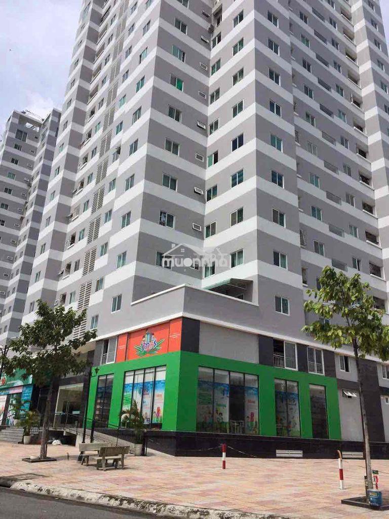 Cho thuê căn hộ chung thái sơn - p. tân tạo hcm - Ảnh 3
