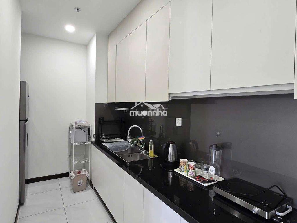 Thuê 1pn full nội thất cao cấp – c skyview chánh nghĩa tdm bd 8tr - 4
