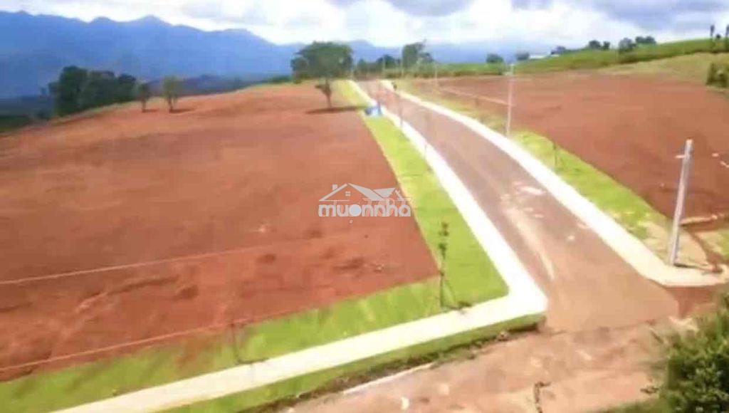 Bán đất rộng view đẹp - Ảnh 3