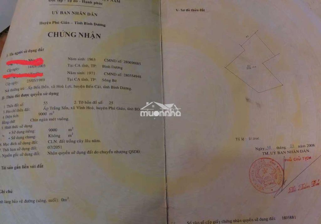 Bán vườn cao su 9000m2 đang cạo tại vĩnh hòa, phú giáo, bình dương - 3