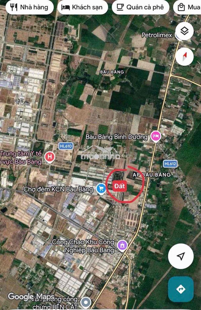 Cắt lỗ 1 nửa bán lô đất sát kcn bàu bàng - Ảnh 2