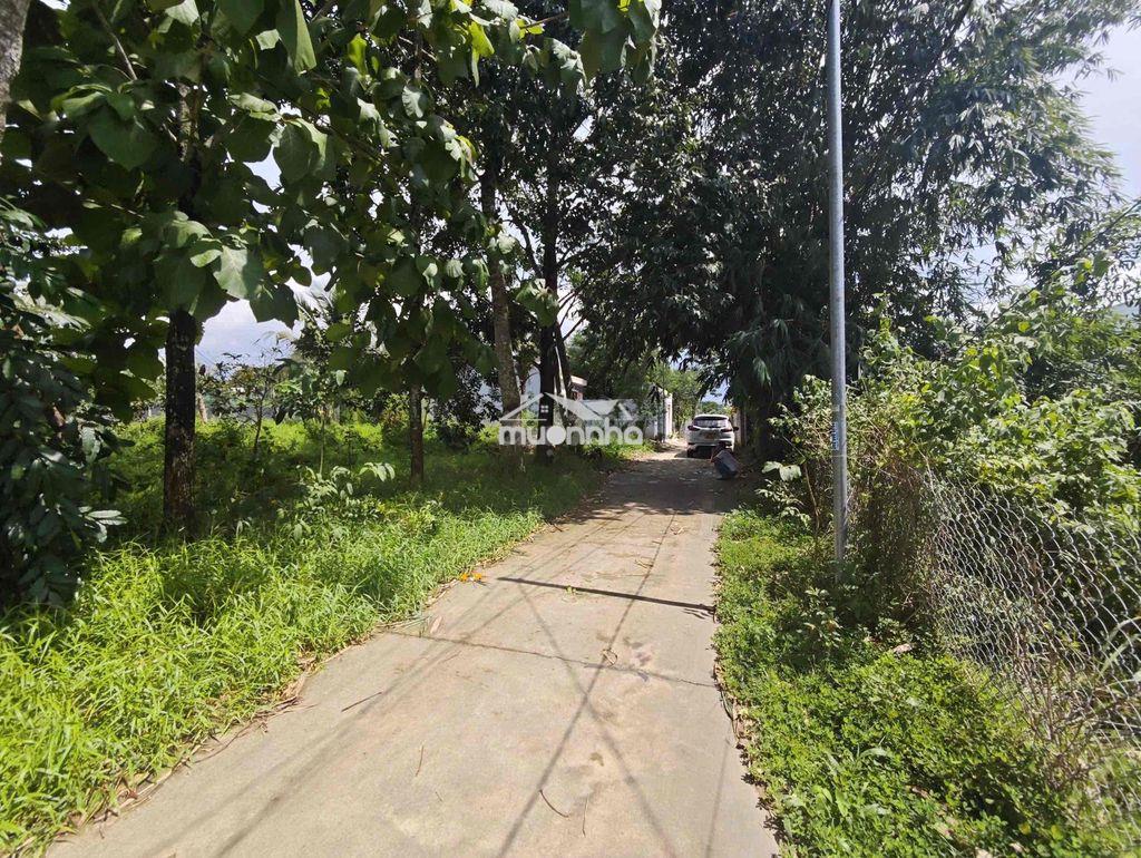 Bán gấp gần 1000 m2 đất tại xã phú điền, h. tân phú, đồng nai - 2