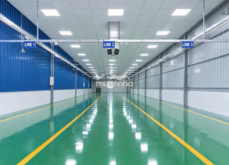 Cho thuê xưởng 300m ngay chợ thông dụng an phú thuận an