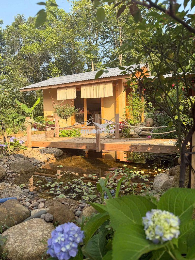 Chính chủ cần bán nhà vườn view hồ hóc khế, hòa vang, đà nẵng - Ảnh 4