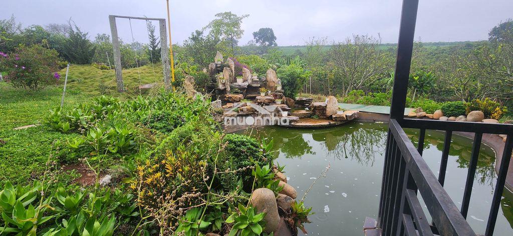 Cho thuê nhà biệt thự vườn 6000m2 - Ảnh 2