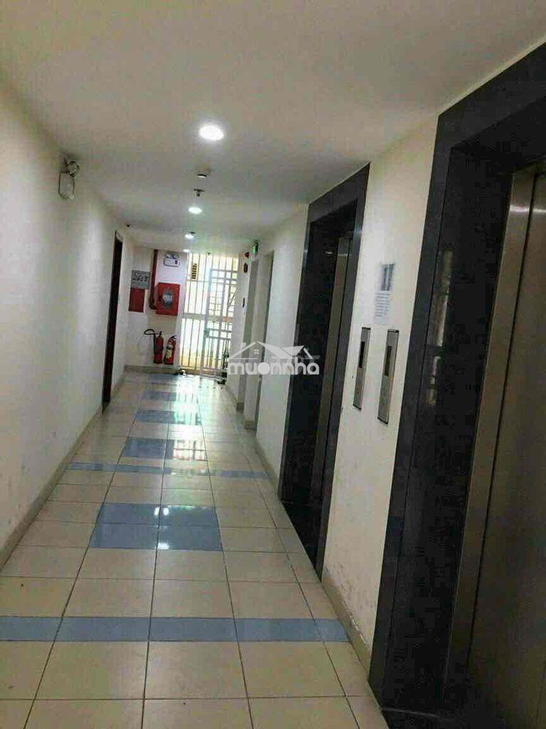 Căn hộ chung cư đông hải 54m2 2pn 2wc sổ hồng riêng - Ảnh 4