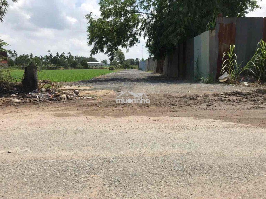 Bán 4200m2 đất nông nghiệp - 19 tỷ - Ảnh 2
