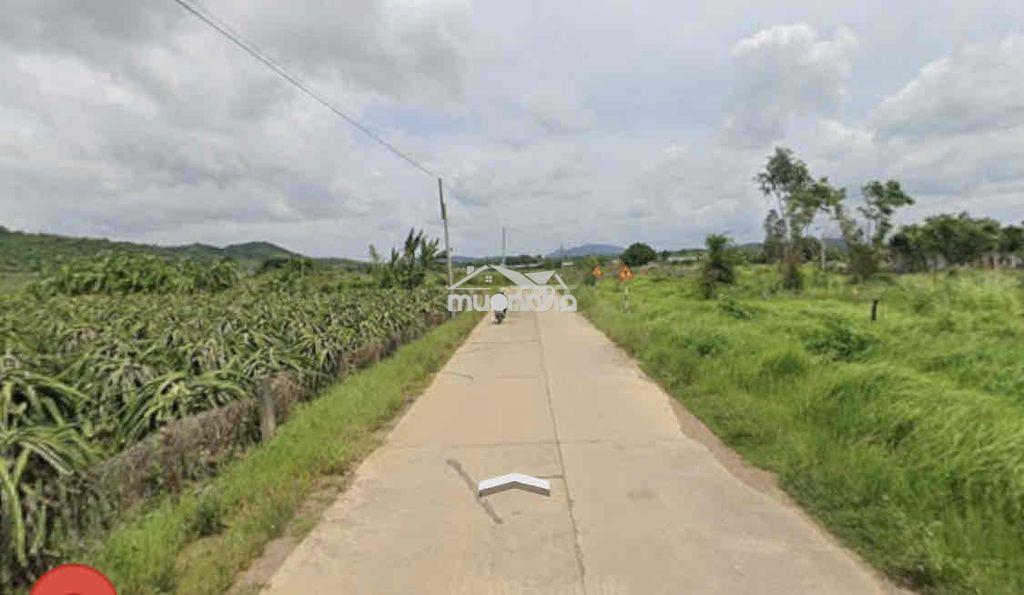 1000m2 hàm minh giá 450triệu (gần taku-bưng thị sungroup) - 2