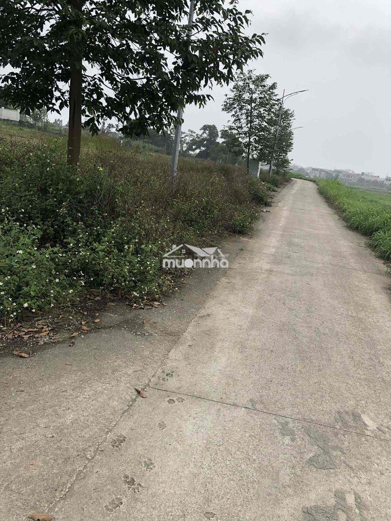 Chính chủ bán gấp - Ảnh 2