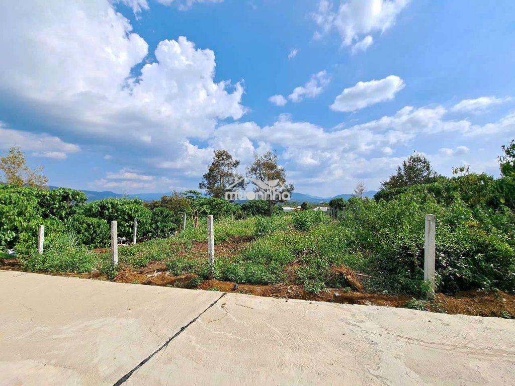 500m2 đất đẹp cần bán cho nhà đầu tư - Ảnh 2