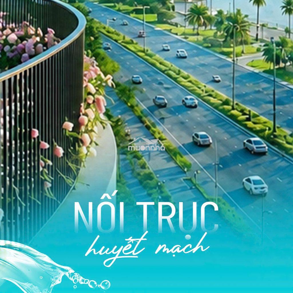 Chính thức nhận booking dự án căn hộ serena riverside - 3