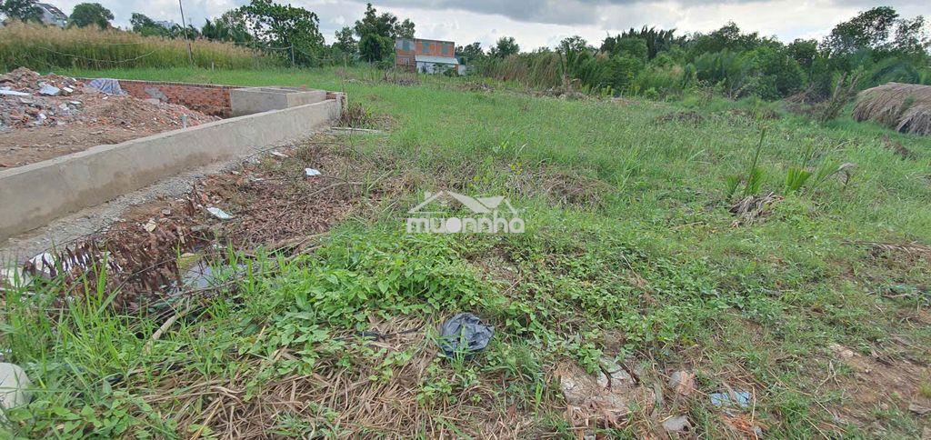 523 m2 hẻm lê văn lương - Ảnh 2