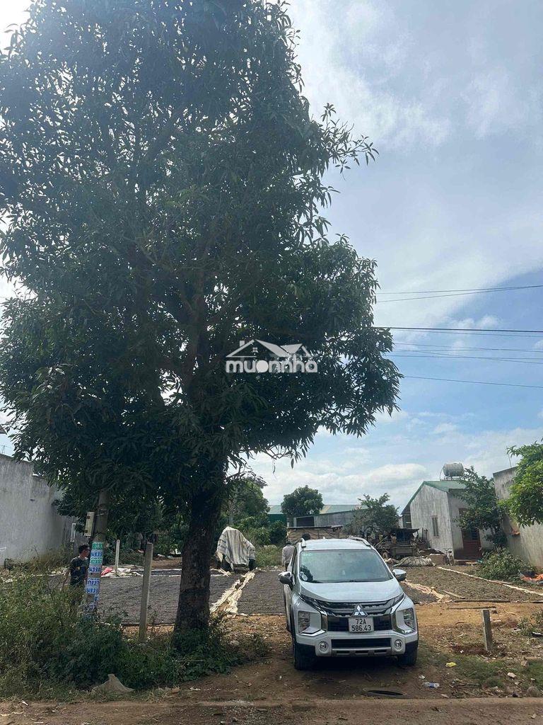 Đất thổ cư đức trọng 6x37