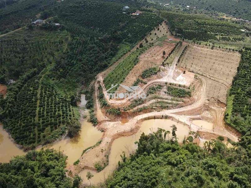 Em chính chủ đất nhà cần bán gấp 2.5ha đất rẫy có nhà view đẹp