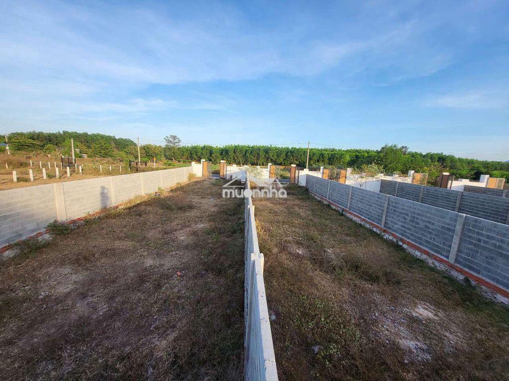 Bán đất ven biển phước hải lô 2 mặt tiền 234m² giá chỉ 2,2 tỷ - Ảnh 2