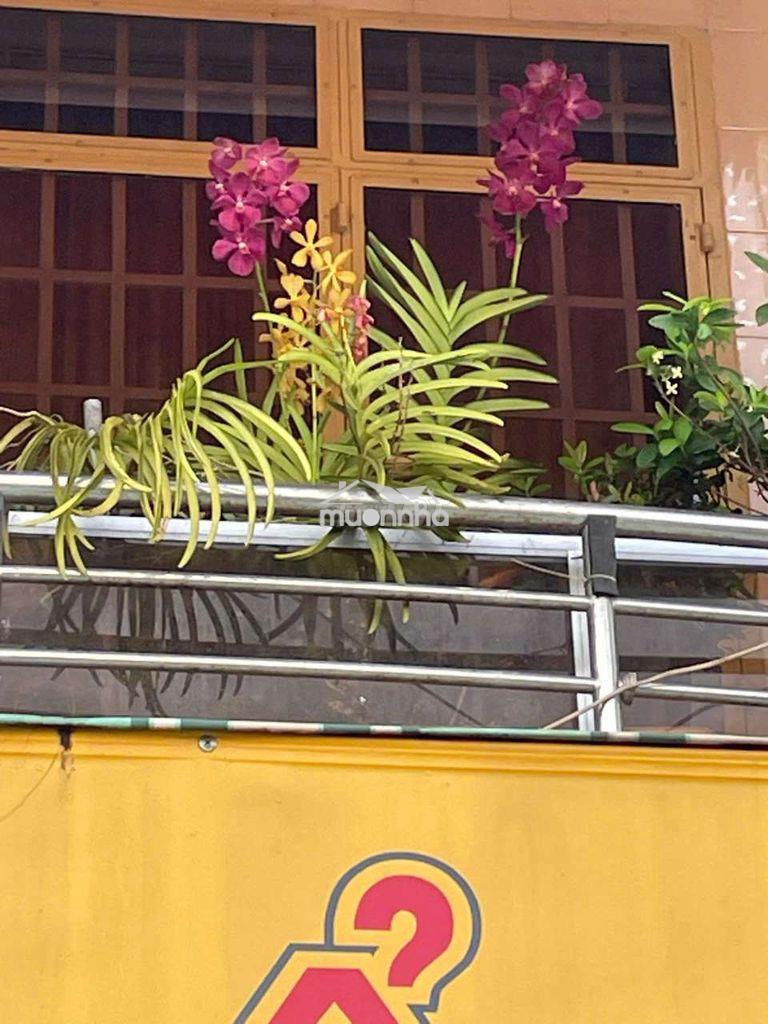 Nhà mặt tiền đường lý thái tổ