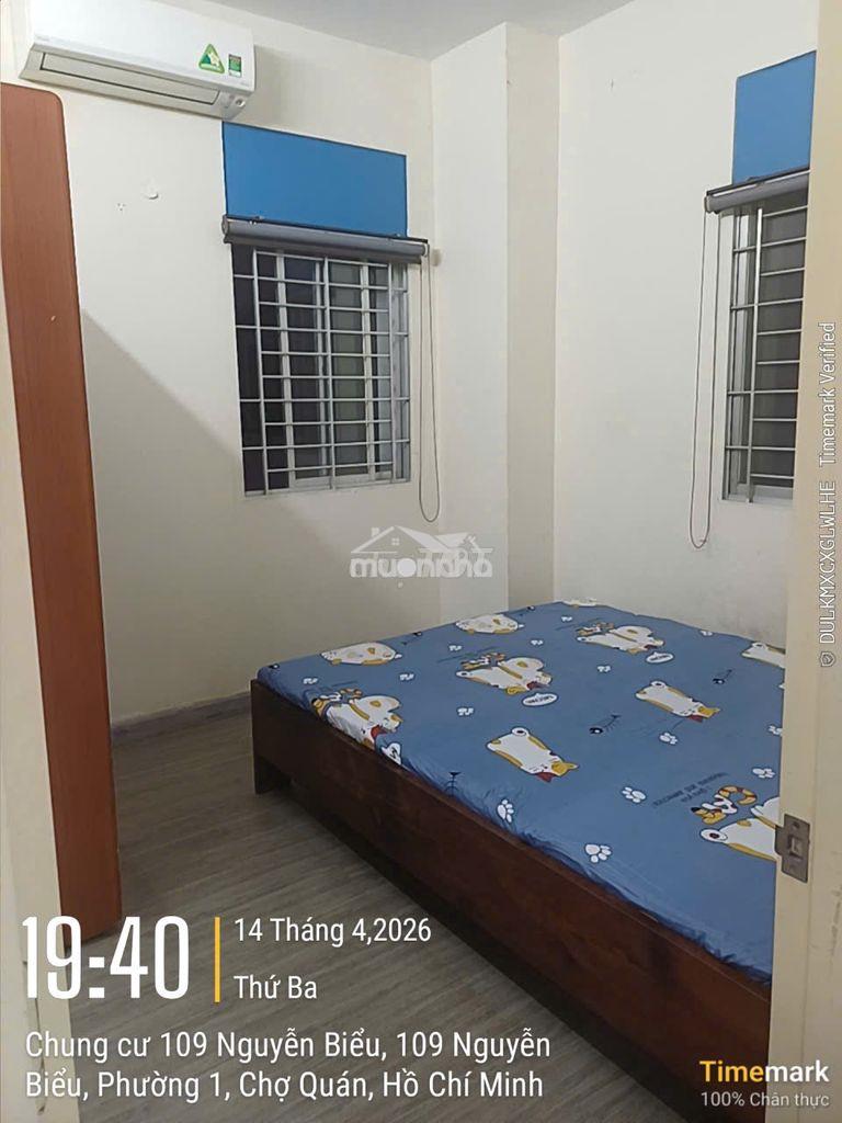 Chung cư 109 nguyễn biểu 61m2 2pn căn góc - Ảnh 4