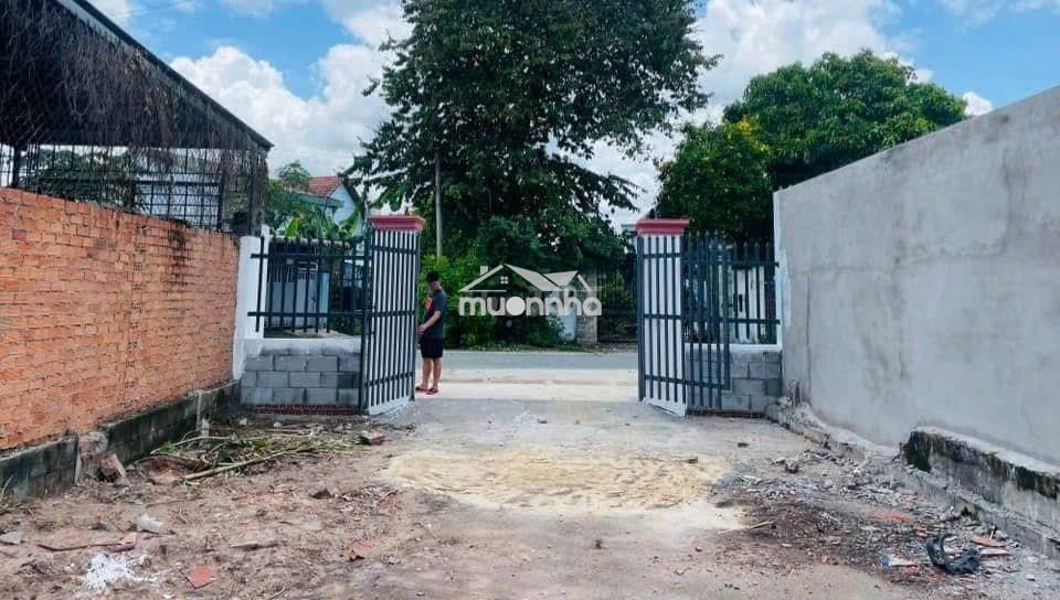 200m2 full thổ giá 530tr khu vực tân thông hội củ chi mt đường nhựa - Ảnh 3
