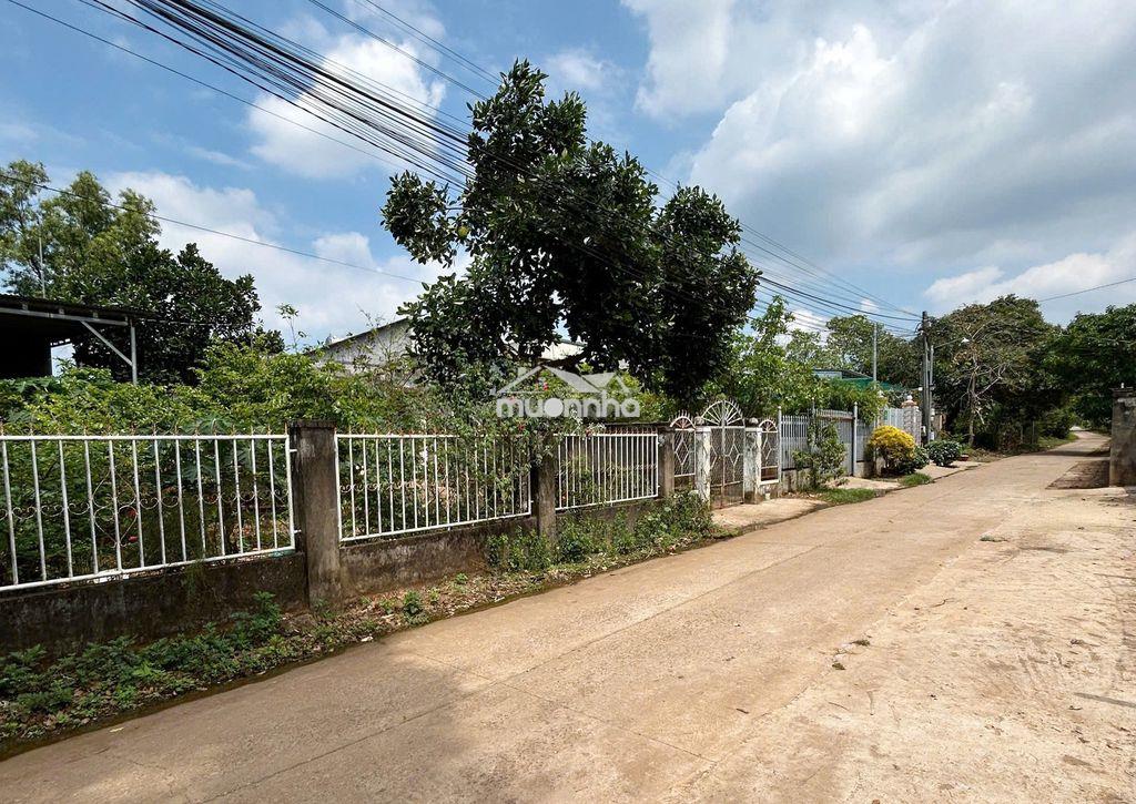 Đất nền dong 4 6x30 ấp thái hoà xã phú túc ( nay là xã thống nhất) - Ảnh 3
