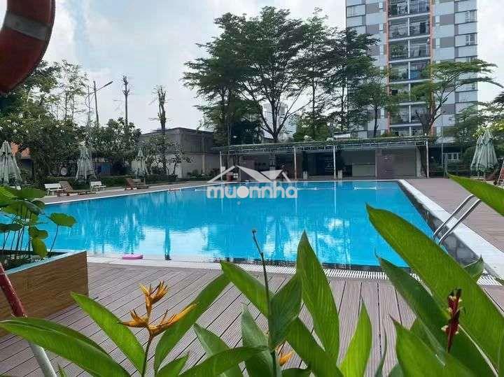 Bán him lam chợ lớn 83m² 2pn 2wc full 4.8 tluong - Ảnh 3