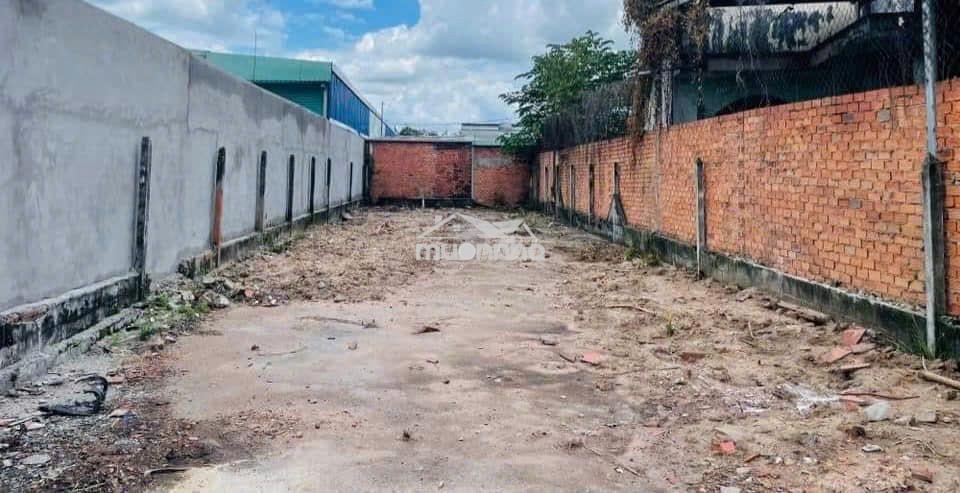 200m2 full thổ giá 530tr khu vực tân thông hội củ chi mt đường nhựa - Ảnh 2