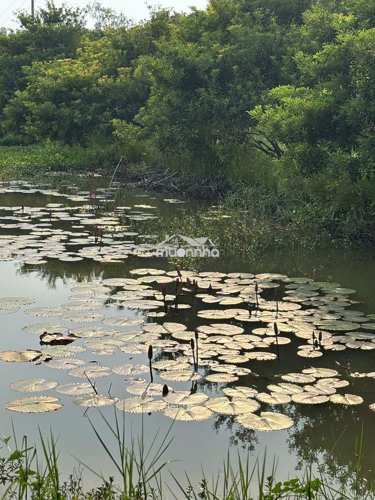 Bán khu vườn 14.700m² – 1.300 cây ăn trái – 5 ao - 4