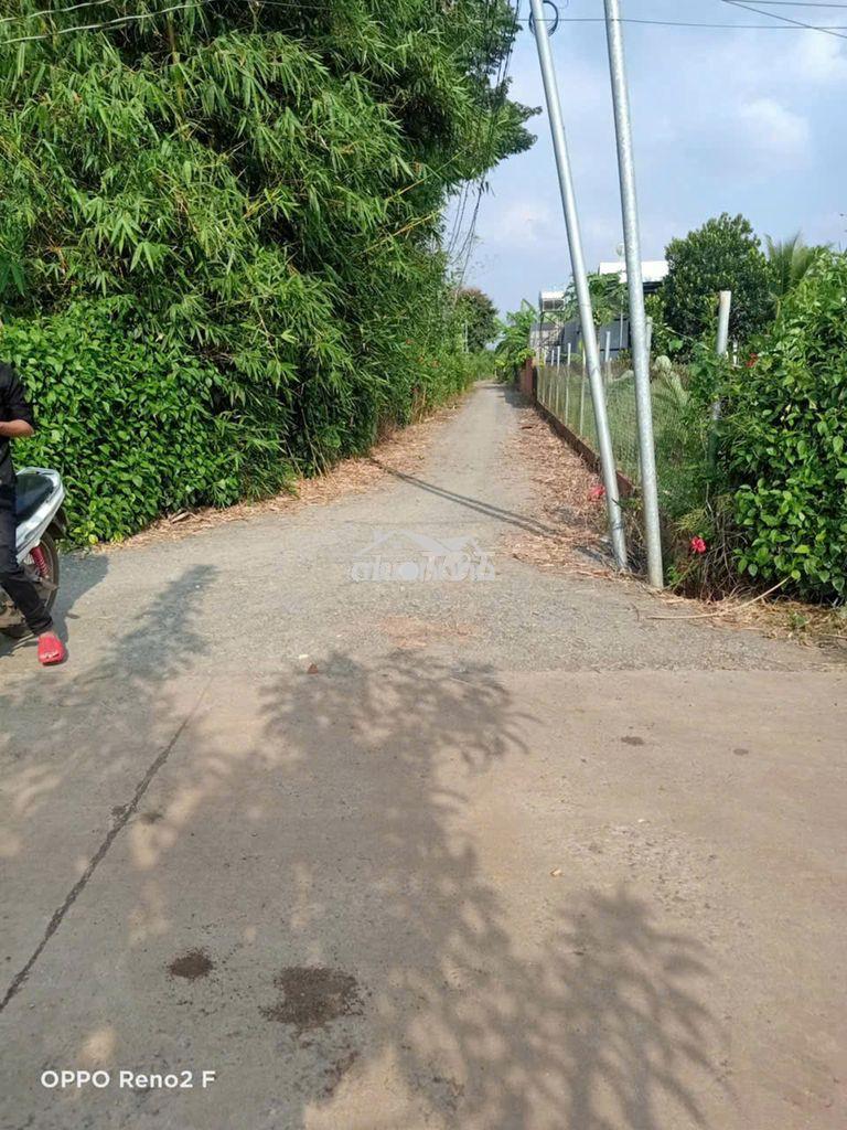Chính chủ bán đất thổ cư tại xã sông rây cẩm mỹ. 118m2 - Ảnh 3