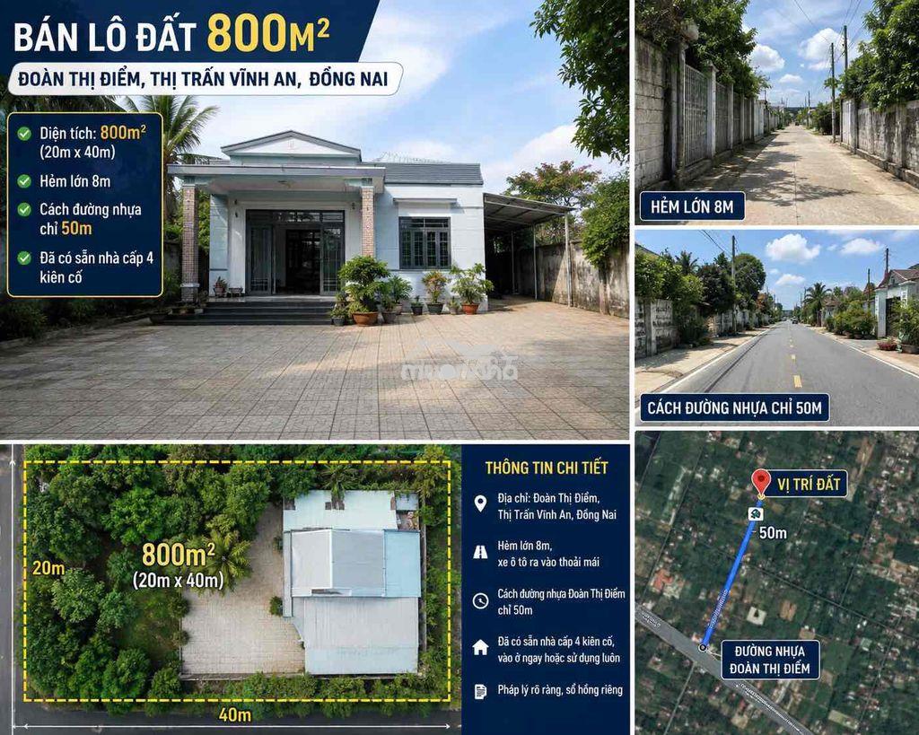 Bán lô đất 800 m2 đã có sẵn nhà kiên cố 100 m2. vào ở ngay được - Ảnh 2