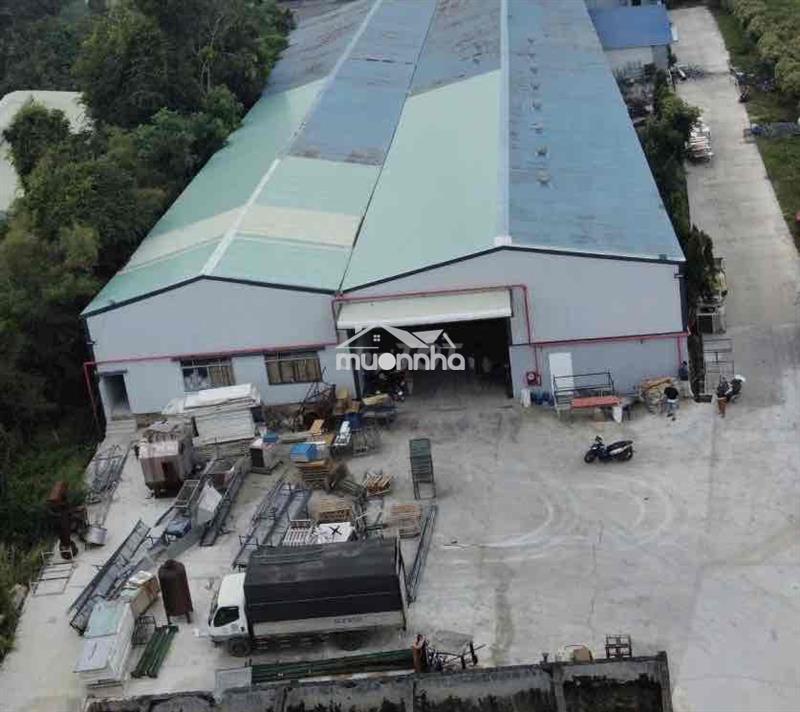 Cho thuê 9000m2 kv nhà xưởng củ chi .