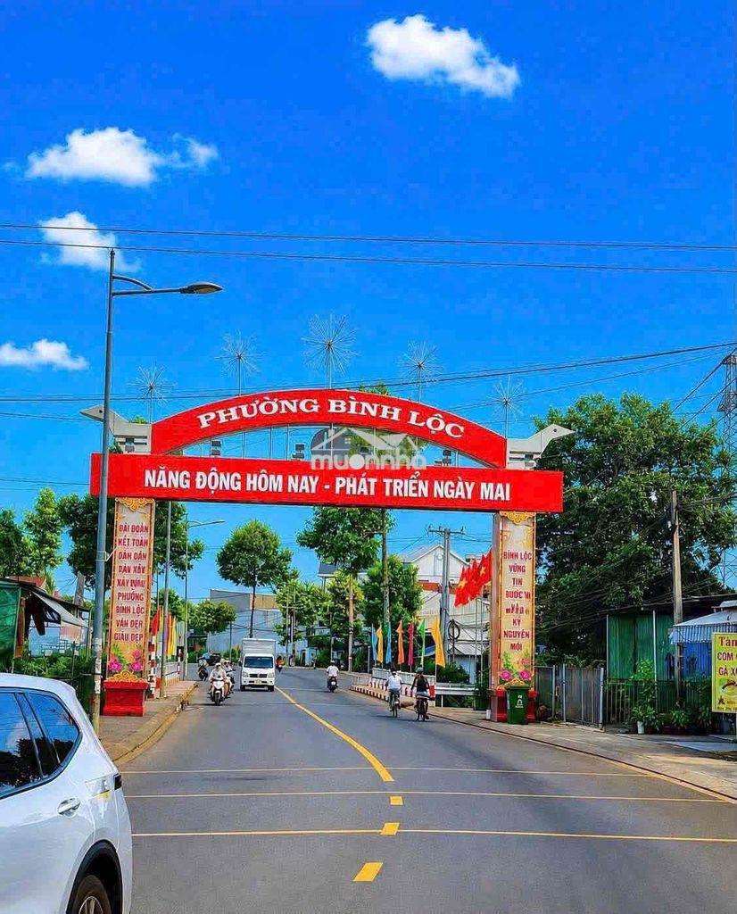 Bán vườn trái cây - Ảnh 2