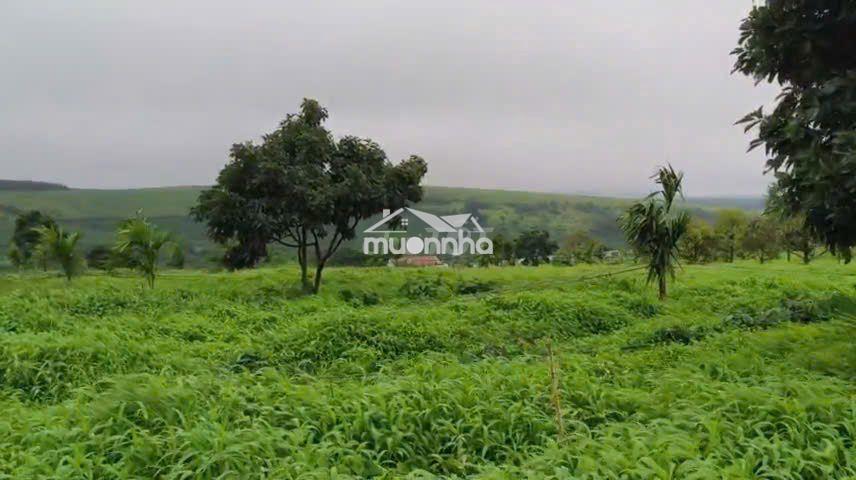 Chuyển nhượng mia farm gia lai 9,6 ha mặt tiền đường nhựa 380m - 2