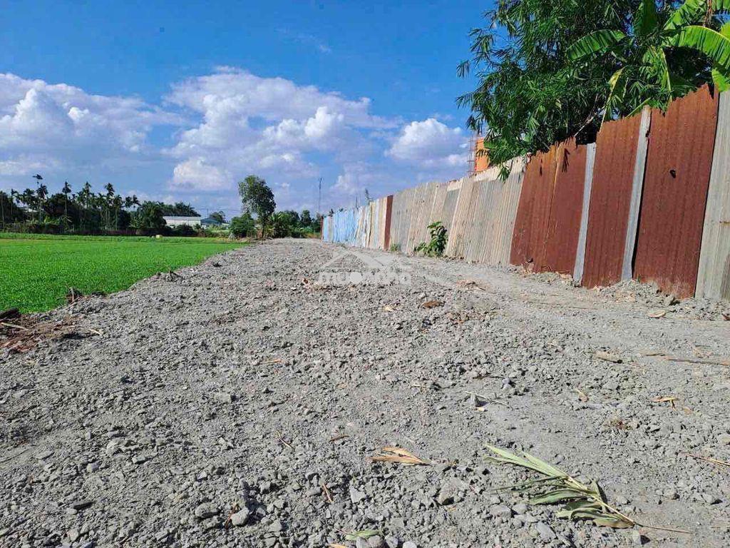 Bán 4200m2 đất nông nghiệp - 19 tỷ - Ảnh 3