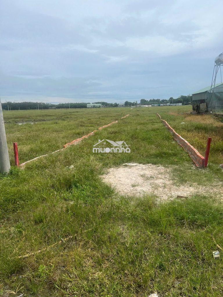 Đất nền sóc ruộng tân hưng 314,6m² tại đồng nai giá 900 triệu