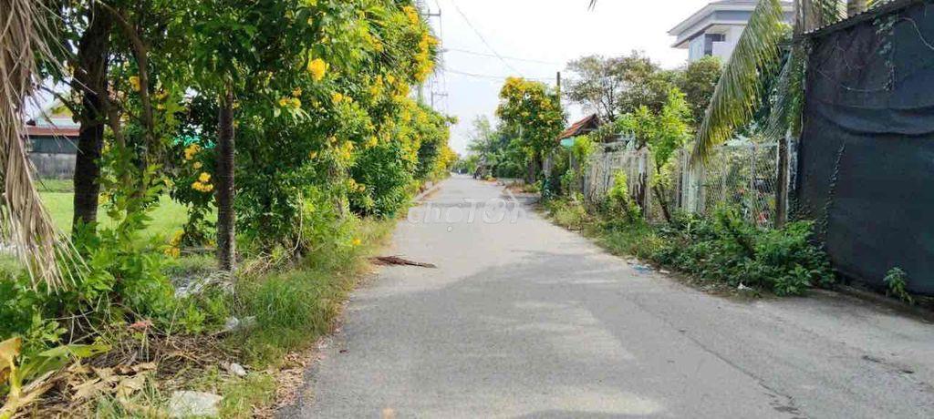 Chính chủ cần bán gấp mảnh đất - Ảnh 3